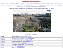 Tablet Screenshot of minnesotabucks.com